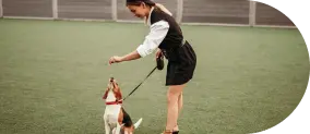 training_service