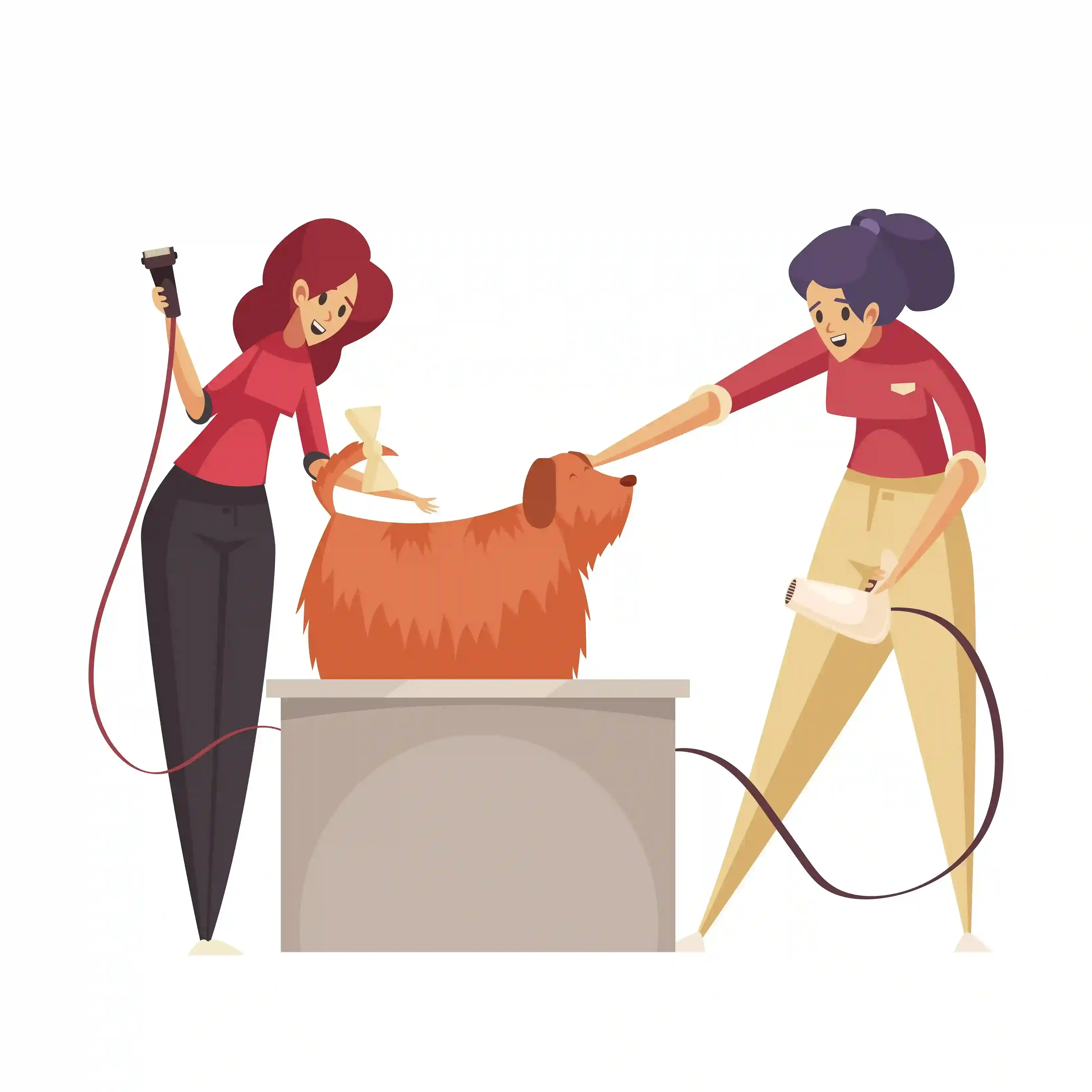 master-groomer